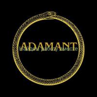 Агентство "ADAMANT" набирает моделей для сопровождения!